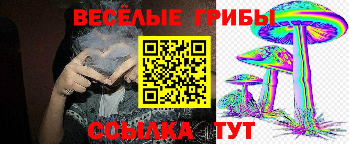 Псилоцибиновые грибы GOLDEN TEACHER  как найти   Чебоксары  Вход с VPN 